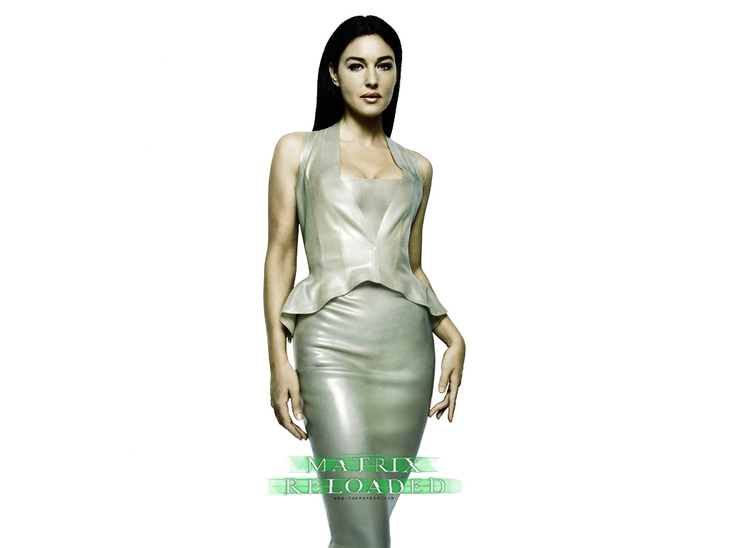Cliquez droit puis faites - Etablir entant qu'lment d'arrire-plan - pour faire de l'image 6.jpg du film [Matrix Reloaded] votre fond d'cran! Les images sont la proprit de leurs auteurs respectifs, elles sont destines  un usage priv uniquement.